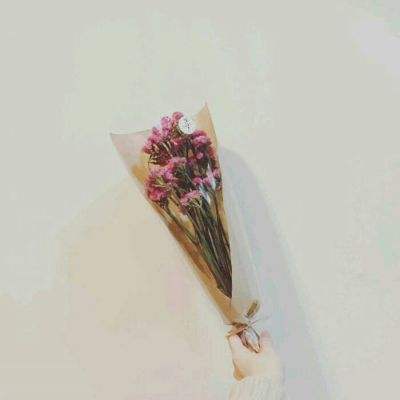 进击的少女果盘版下载